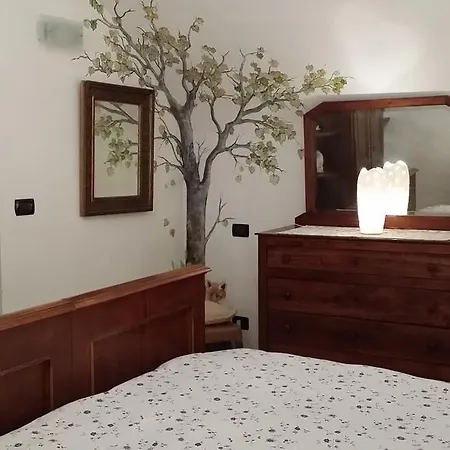 Le Case Del Libro Verde Acino D'uva *